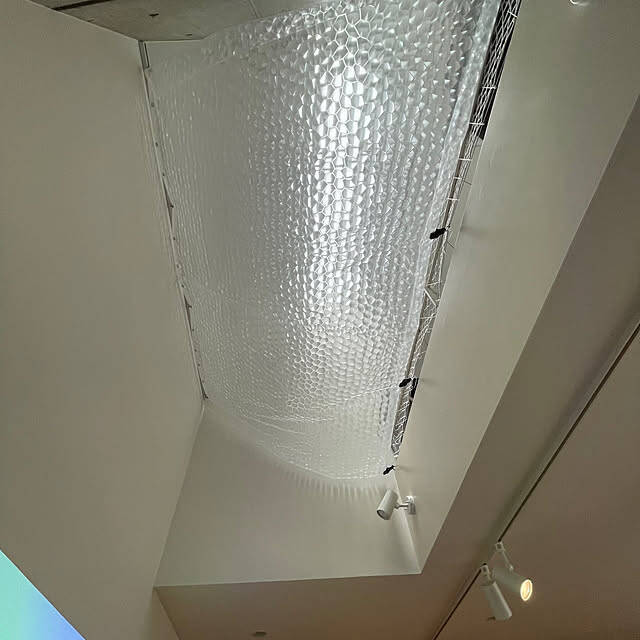 使い方は無限大！シャワーカーテンの活用アイディア6選