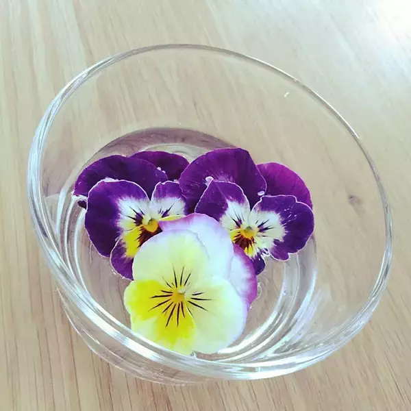 「シンプルかつ機能的！IKEAの365+ シリーズが暮らしをもっと豊かに」の画像