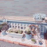 「【RoomClipが選んだ厳選3選】「花のある暮らし」がテーマの素敵な投稿実例」の画像4