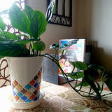 「貼るだけで雰囲気が変わる！セリアのタイルシールを使った身近なアイテムのDIYアイデア」の画像5