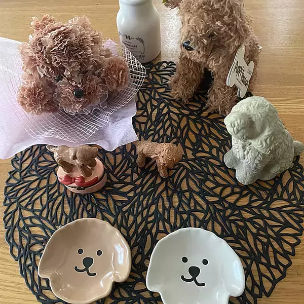 「デザインが豊富でたくさん集めたくなる♡セリアの豆皿コレクション」の画像