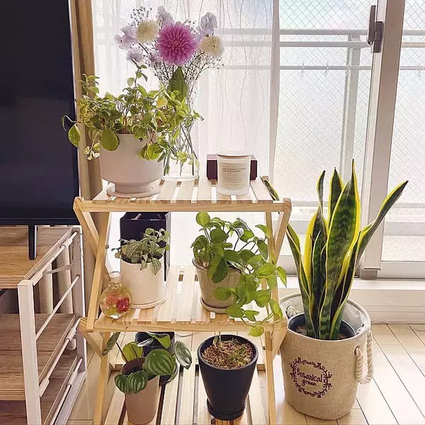 おうちでもアウトドアでもフレキシブルに使える☆コーナンラックの魅力と活用アイデア