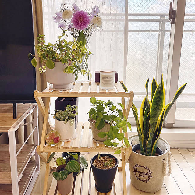 おうちでもアウトドアでもフレキシブルに使える☆コーナンラックの魅力と活用アイデア