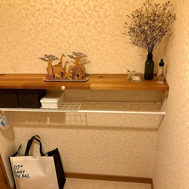 プチプラなのに使い勝手バツグン！家じゅうの収納に大活躍する100均PPバッグ