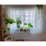 「窓周りのインテリアを自分らしくコーディネート♪100均アイテムでできるカーテンアレンジDIY」の画像3