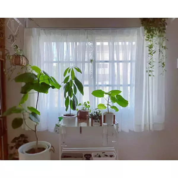 「窓周りのインテリアを自分らしくコーディネート♪100均アイテムでできるカーテンアレンジDIY」の画像