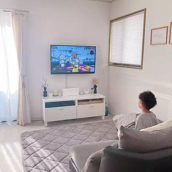 「ダイソーのアイテムですっきりと片付けられる♪かさばるゲーム機や周辺機器の収納アイデア6選」の画像