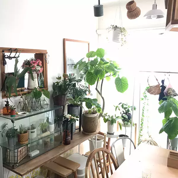 「【写真でルームツアー】インテリアから暮らし方まで。3つの部屋で見る「毎日の心地いい空間」。hirariさんのお家をご紹介！」の画像