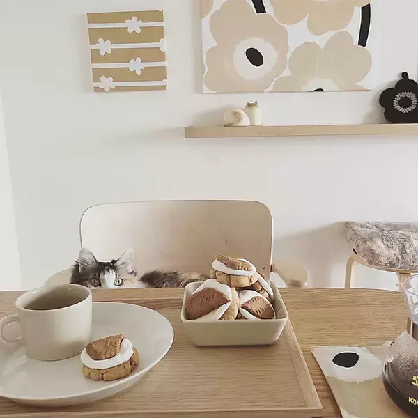 「上品とかわいいを両立させた理想のお部屋づくり♪好きなテイストで取り入れる大人かわいいインテリア」の画像