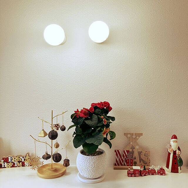 わくわくが止まらない♡小さなスペースで楽しむクリスマスディスプレイ10選