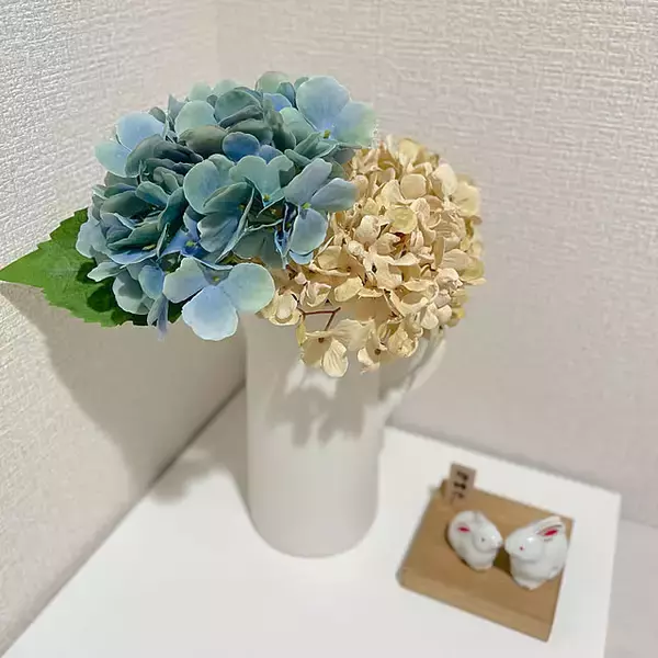 「インテリアがランクアップする♡心ときめくsalut!のアイテム特集」の画像