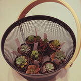 「どこにおいても様になってくれるのが便利♪ダイソーの木製取っ手バスケットが収納に活躍」の画像6