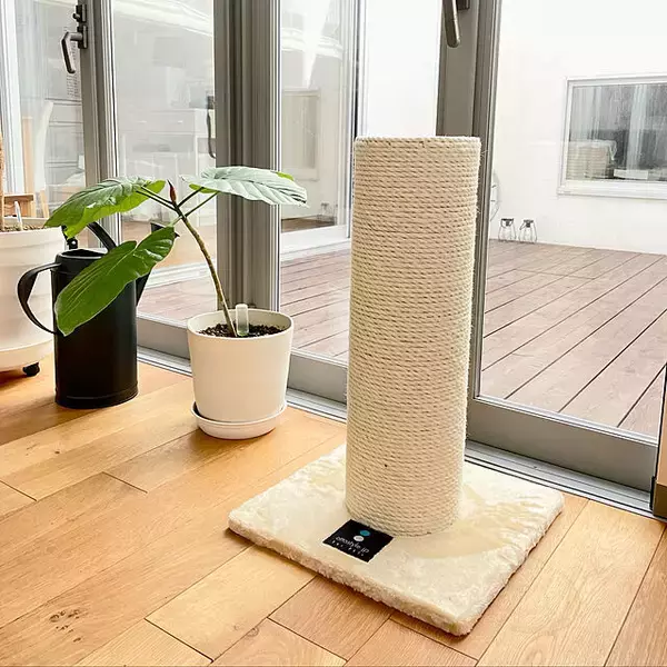 「ペットと快適な時間を過ごしたい☆猫と暮らすために必要なもの」の画像