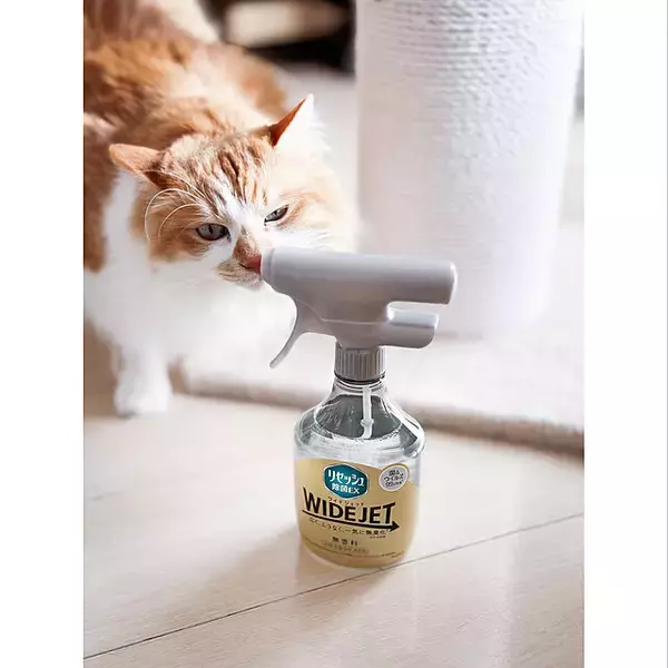 「ペットと快適な時間を過ごしたい☆猫と暮らすために必要なもの」の画像