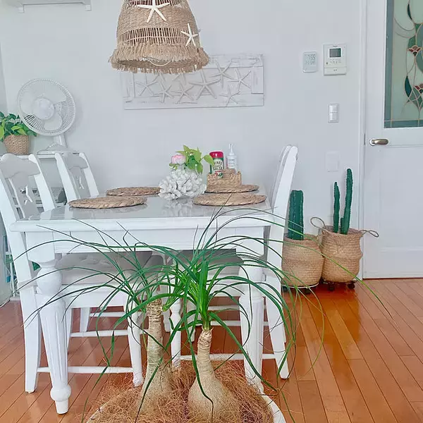 「「ホットプレートのできる！を増やすBRUNOグランデサイズ用深鍋」 by Megumiさん」の画像