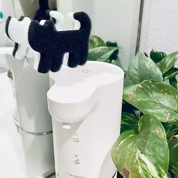 「コスパ最強！ダイソー商品でつくる洗面所インテリアのアイデア6選」の画像