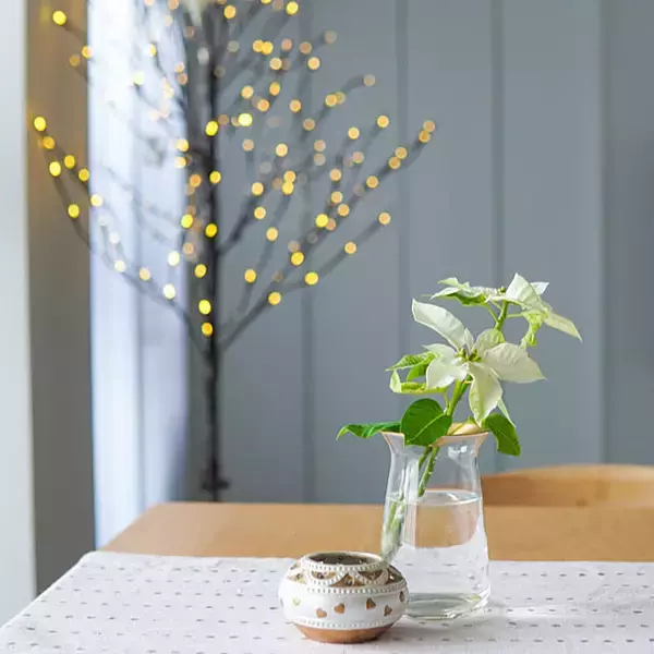 「使うたびに気持ちがゆるむ。KINTOのアイテムでつくる落ち着いたおうち時間」の画像