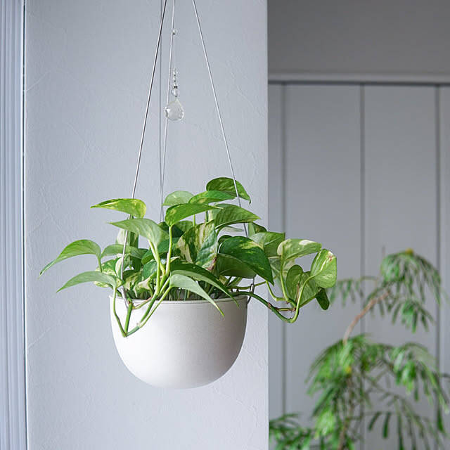 使うたびに気持ちがゆるむ。KINTOのアイテムでつくる落ち着いたおうち時間