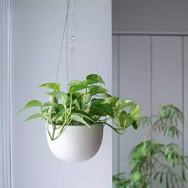 「使うたびに気持ちがゆるむ。KINTOのアイテムでつくる落ち着いたおうち時間」の画像