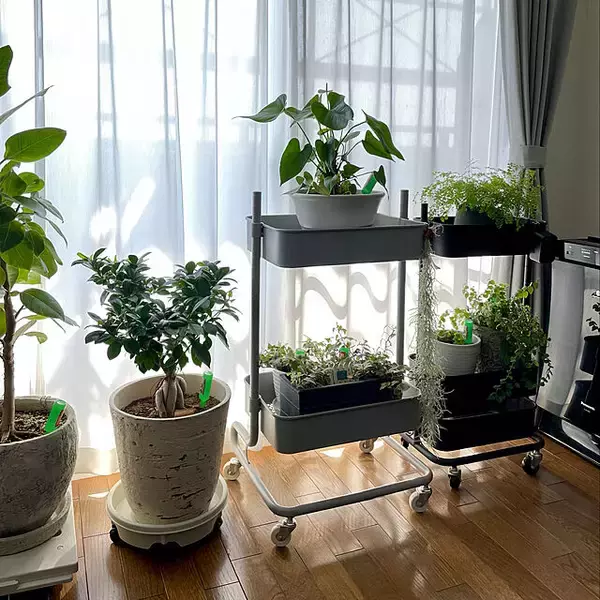 「収納も移動も便利！キッチンワゴンを使った整理収納アイデア」の画像