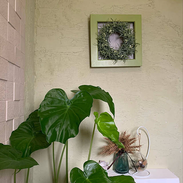 清潔で気持ちのいい空間をキープできる♡トイレのニオイ対策アイデア帖