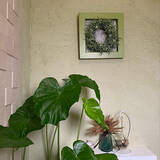 「清潔で気持ちのいい空間をキープできる♡トイレのニオイ対策アイデア帖」の画像6