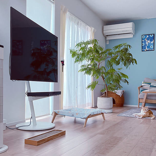 高さ調整や移動もできて便利♪レイアウトが広がるテレビスタンドのあるお部屋