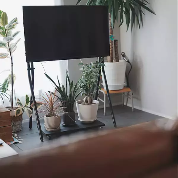 「高さ調整や移動もできて便利♪レイアウトが広がるテレビスタンドのあるお部屋」の画像
