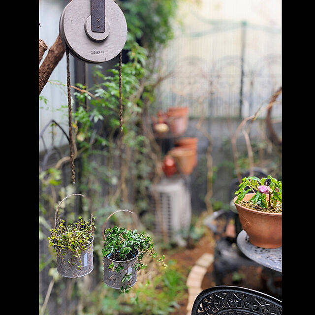 植物で暮らしに安らぎを♪RoomClipショッピングのガーデニング用品