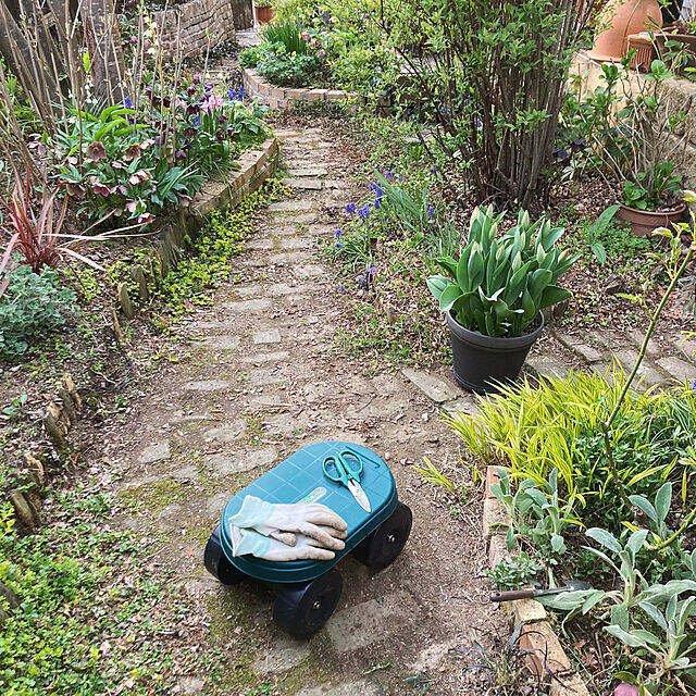 植物で暮らしに安らぎを♪RoomClipショッピングのガーデニング用品