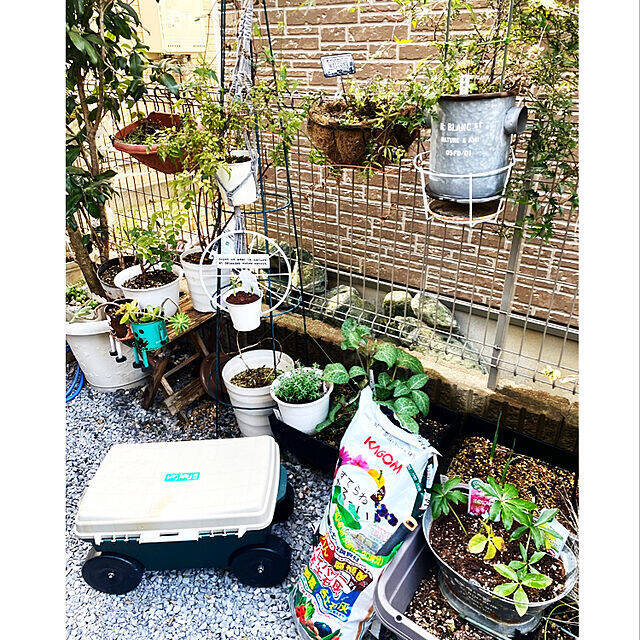 植物で暮らしに安らぎを♪RoomClipショッピングのガーデニング用品