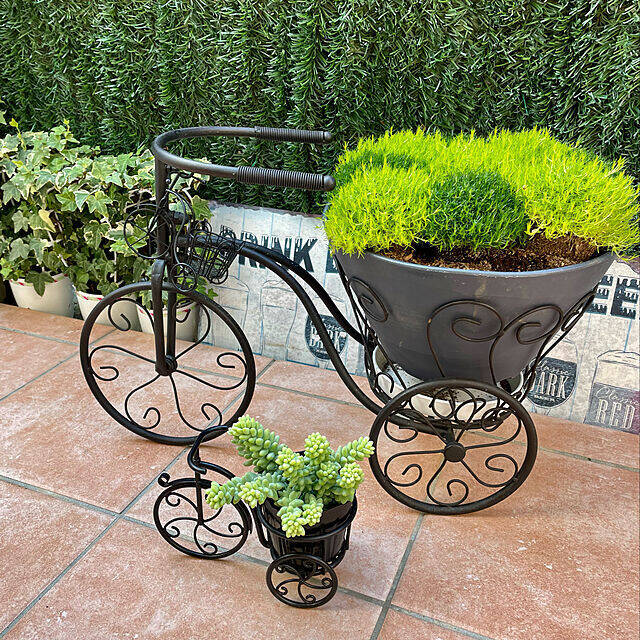 植物で暮らしに安らぎを♪RoomClipショッピングのガーデニング用品