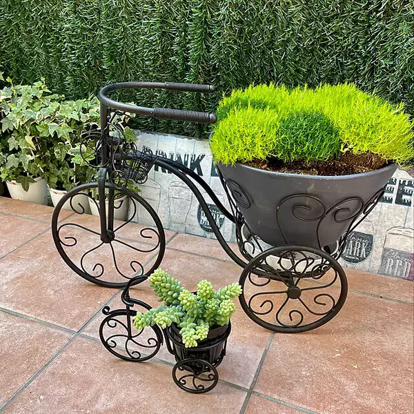 「植物で暮らしに安らぎを♪RoomClipショッピングのガーデニング用品」の画像