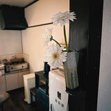 「「築45年の味わいを味方に。古道具と黒色で引き締めるキッチン空間」 by ryu.flatさん」の画像6