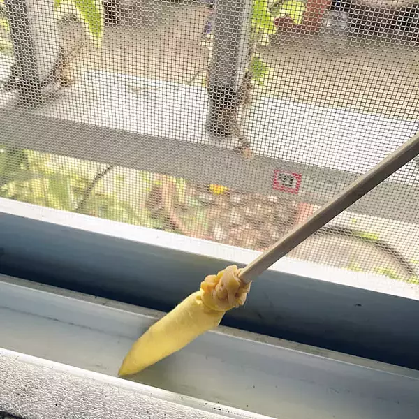 「手軽なアイデアからしっかり掃除できる方法まで！これでスッキリ網戸掃除のアイデア」の画像