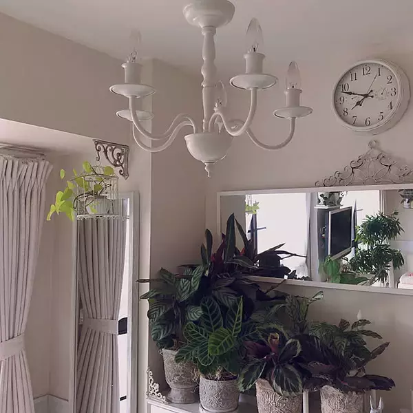 「コーディネートの仕方にも注目♪ニトリで見つけた海外風インテリアにピッタリなアイテム」の画像