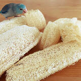 「【エシカル協会・堀田さんに聞く】暮らしながらできる「エシカル」なことって何ですか？」の画像12