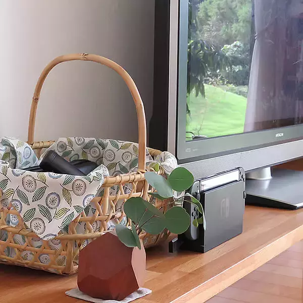 「入れるだけで叶う！散らかり知らずのポイポイ収納術でスッキリお片付け」の画像