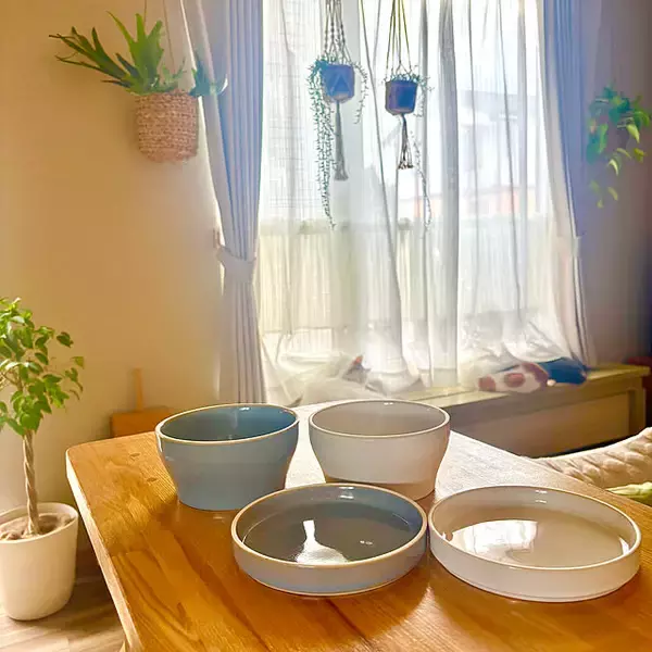 「食卓を華やかに着飾ってくれる♡どんなシーンにも使いやすいダイソーの高見え食器6選」の画像