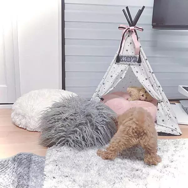 「お値段以上のクオリティで買って損なし！満足度高めなダイソーの500円以上アイテム」の画像