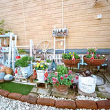 「【今週の〇〇】テーマは「植物のある暮らし」！最新の投稿写真をピックアップ」の画像5