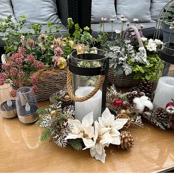 「【今週の〇〇】テーマは「植物のある暮らし」！最新の投稿写真をピックアップ」の画像