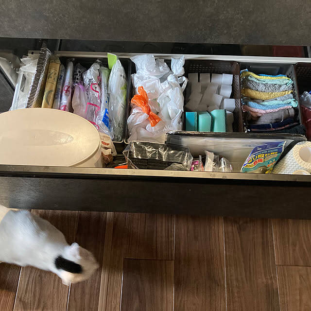 「植物×カフェ風の空間で、猫と魚たちと穏やかに暮らすインテリアと収納の工夫」 by ma.さん