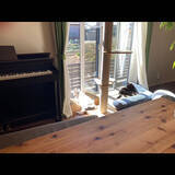 「「植物×カフェ風の空間で、猫と魚たちと穏やかに暮らすインテリアと収納の工夫」 by ma.さん」の画像6