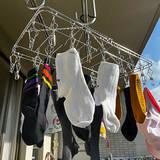 「【みんなが選んだ！】干すのも取り込むのも劇的に楽になる！おすすめピンチハンガー4選」の画像3