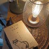 「「置くだけで絵になる。網目から漏れる光が美しいポータブルライト 」by Atelier_tamaki さん」の画像4