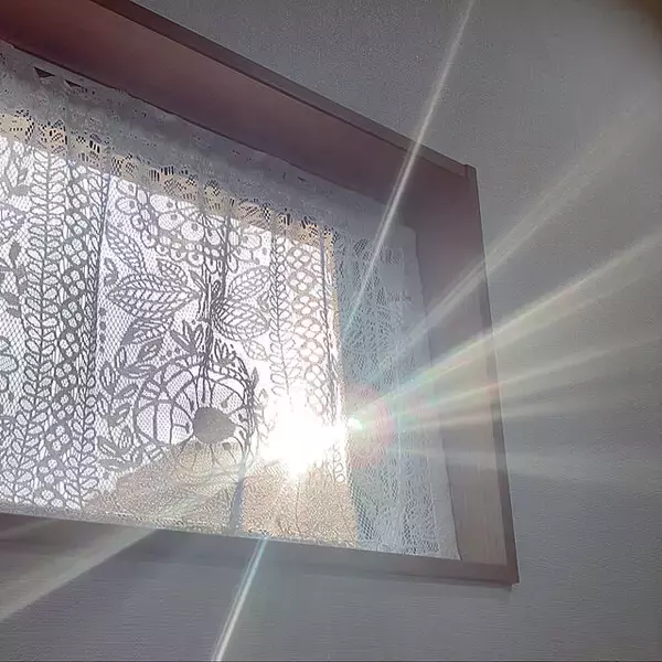 「光と風をやさしく取り込む♡レースカーテンを効果的に使った魅力的なお部屋」の画像