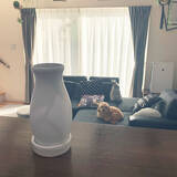 「プチプラで乾燥対策ができる♪ダイソーで見つかる加湿器」の画像3