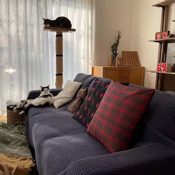 「大切な思い出もお気に入りもかしこく活用！古着の再利用アイデア」の画像