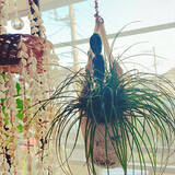 「インテリアに馴染むカジュアルな収納アイテムとして大活躍♪100均のネットバッグ活用アイデア」の画像7